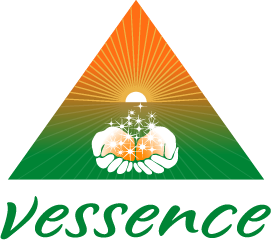 Vessence